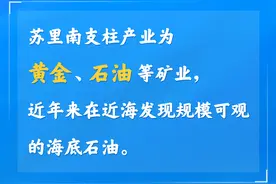 图览丨华人曾当总统，春节是法定假日……苏里南与中国“万里尚为邻”图片