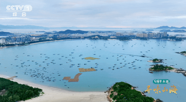 山海相逢处，至味在漳州