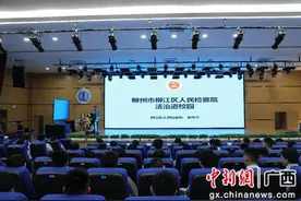 柳州检察官送法进校园互动解读电影《第二十条》图片