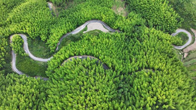 浙江磐安：盘山公路蜿蜒风光美