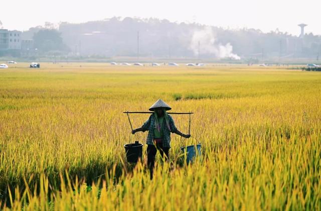 在美丽南方，赴一场诗意画卷~