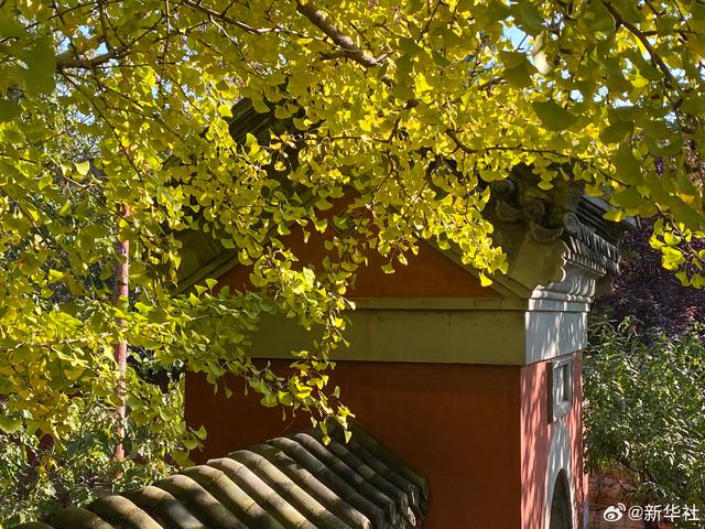 收藏！秋天是写在古都的诗篇