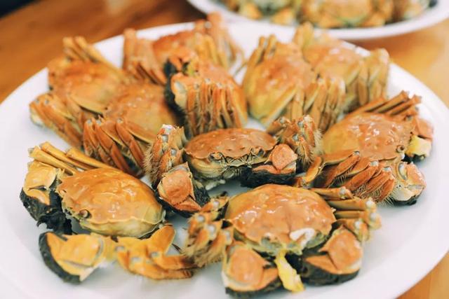 游上海松江 寻上海之根丨肉肥、膏黄、味鲜！来吃黄浦江大闸蟹，攻略码住