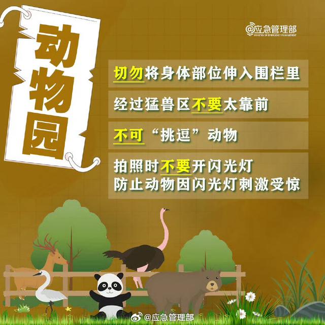 景区打卡，这些攻略你得“码”住！