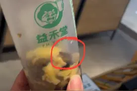 广东阳江一奶茶店喝出多只活蟑螂？消费者索赔1000元，店家：有讹诈嫌疑图片