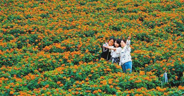 文旅融合——云南文山州打造多样旅居生活