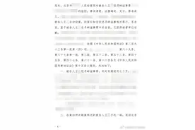 “理想MEGA车内摄像头拍色情图片”造谣者获刑图片