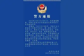 前有盐城松狮，现有崇州罗威纳，遇哪些狗特别要当心？图片