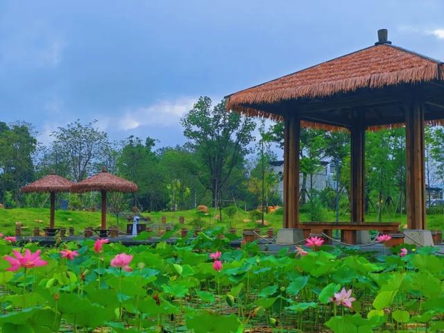 晴雨都能嗨！艺术盛宴、绝美日落、奇幻夜游，总有一款适合你→