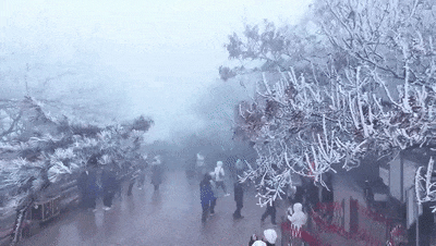 连云港下雪了！这件事要注意！