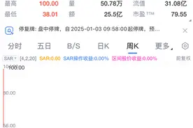 稀土永磁板块逆势走强，这只新股上涨超290%图片