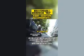黑色大鸟追着路人啄！民警捉住后移交动物园野保中心，系国家一级保护动物图片