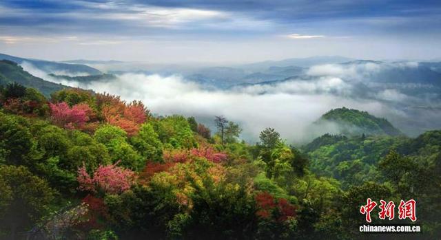 浙江宁波雪窦山：“生态+体验”赋能入境游