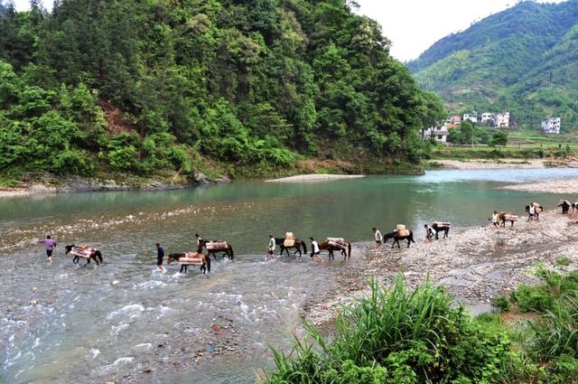 茶马古道上的高山之城，一面静界一面狂飙