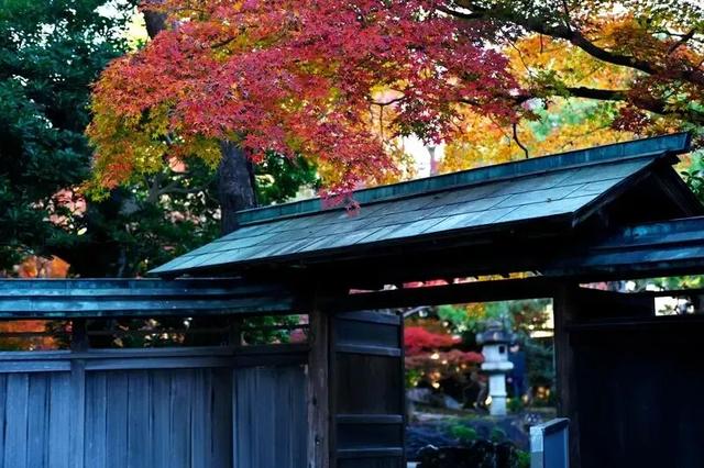 赴日游降温下的从业者，「每天都在处理退款」