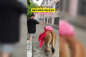 浙江小孩哥勇夺冠军奖品竟是真的牛图片