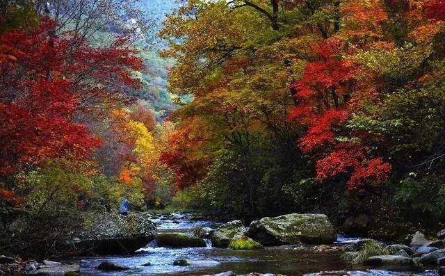 秋游六安看彩林 冬来滑雪泡温泉