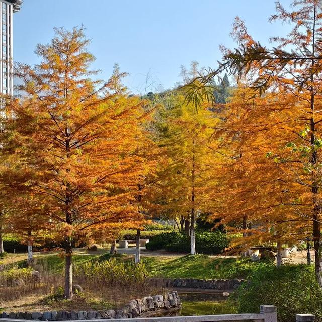 晚潮｜千峡湖畔，正是红橙黄绿时