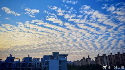 图集｜广州上空出现绝美鱼鳞云