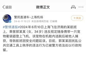 乘客私带仓鼠登机致航班延误引热议，宠物乘机需要办哪些手续？图片