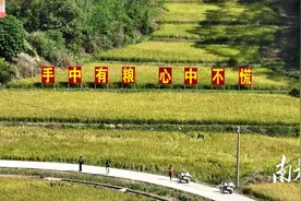 巧施“腾挪术”，五华安流镇全力推进省级全域土地综合整治试点工作图片