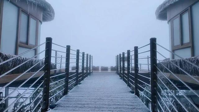 美到词穷！郴州首场雾凇惊艳上线