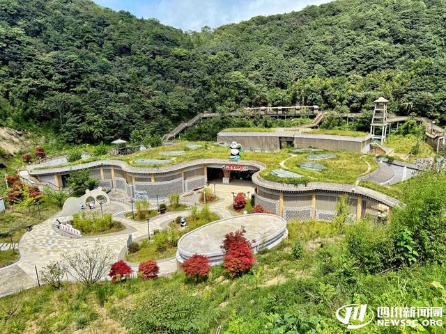 广安推出4条入境旅游精品线路 多元文化吸引全球游客