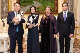 要将获赠的土库曼斯坦国犬送养动物园？尹锡悦被批搞不负责任的“动物外交”图片