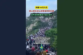 突破700万人次！泰山景区进山游客量刷新纪录，省外游客数量首次超过省内。图片