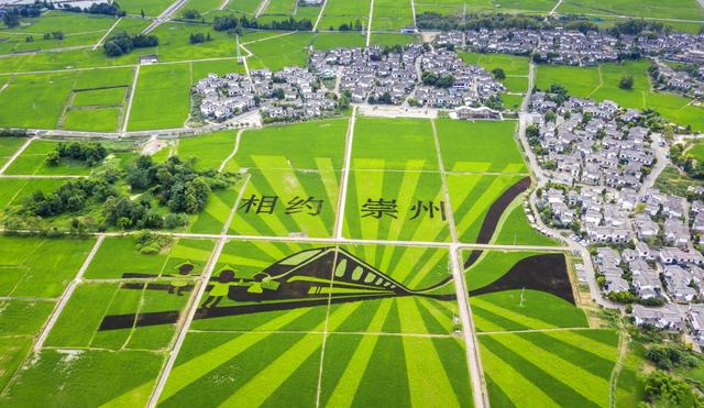 布局多业融合 探索场景创新 成都崇州解锁县域旅游“流量密码”