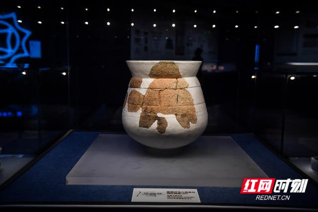 遇见福地怀化②丨从远古稻粒到“禾下乘凉”，读懂怀化的文明温度
