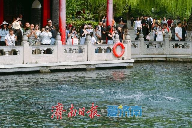 一年四季 泉在济南丨水涌若轮，趵突泉实现连续喷涌22周年成定局