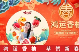 建设不停歇！广西这条高速公路项目建设“加速跑”图片