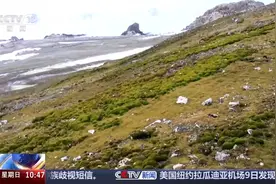 南极变绿？快速变暖地区的植被覆盖面积迅速增加图片
