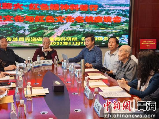 青海专家探讨推动官亭盆地历史文化与红色文化深度融合