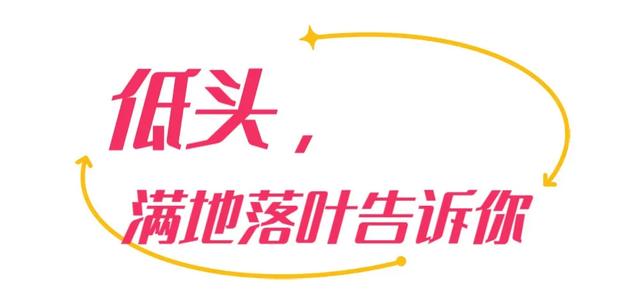 【美丽瀍河】瀍河这份秋季浪漫藏不住了！错过再等一年...