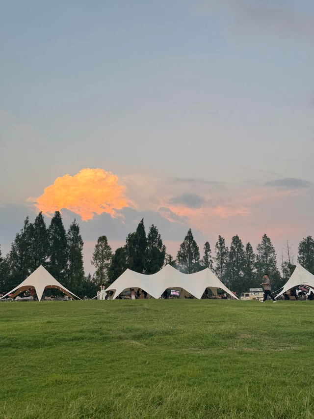 文旅湘江丨绝对不可以，错过长沙版的「秋日芦苇海」