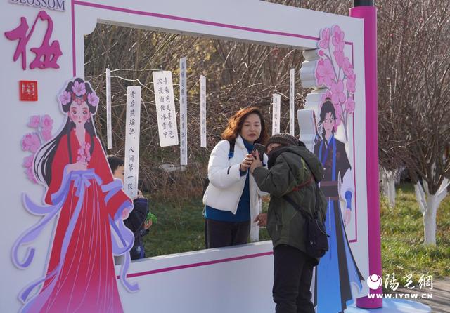 “梅”景已至！宁陕县子午梅苑开园迎客