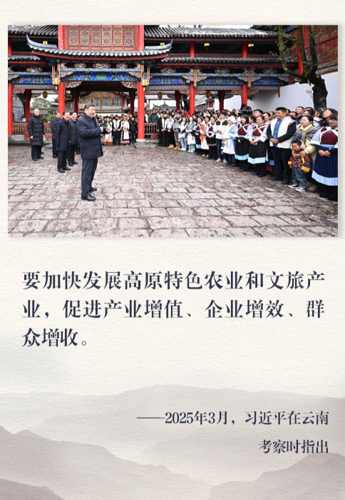 云南旅居热 文旅业态兴