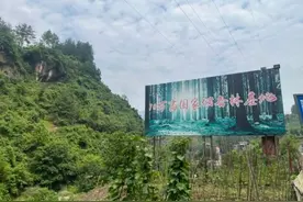 奉节：探索“三空间四主体”模式，推动林业资源立体多元经营利用图片