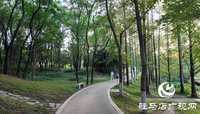驿城区：城市公园让市民共享美好生活