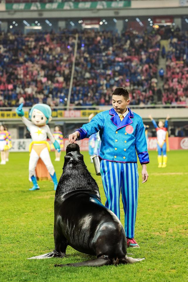 在湘超没看够?大王山旅游度假区给你满满跨年仪式感