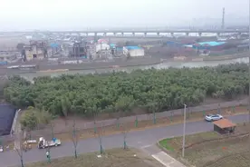寻味丨鲜奶土豆咖喱鸡图片