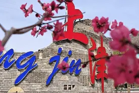 郧西上津：繁花压枝春意浓图片