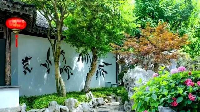 为什么来愚园一定要听讲解？