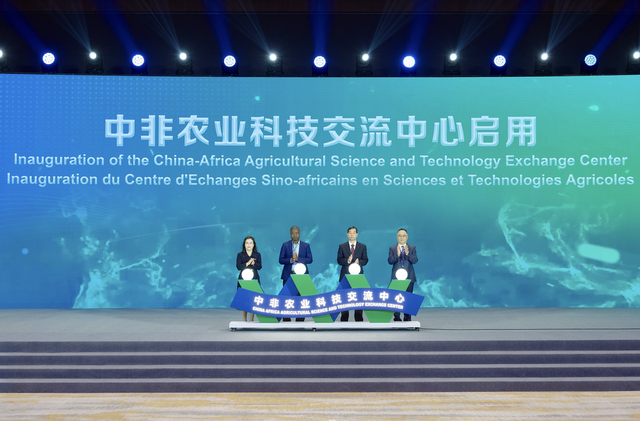 2025中非经贸和文化论坛在金华开幕