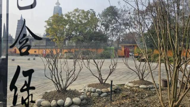 从山野到庭院，解锁“天彭牡丹”城市IP的“彭州路径”