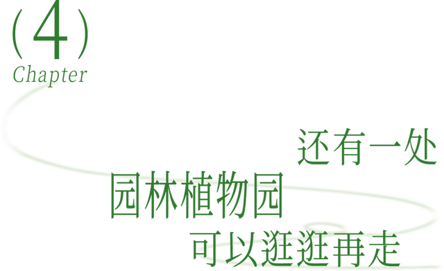 “深圳被严重低估的绿道，人少好发呆”