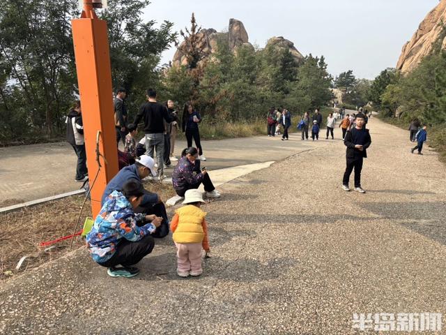 爬山登高看秋色