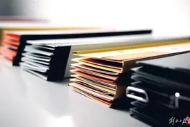 为完成上级“市场主体倍增”要求，村支书竟办理20张营业执照！图片